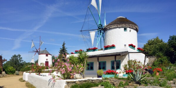 gaestehaus-wedework-tipps-muehlenmuseum-gifhorn-Portugiesische Muehle Blick auf die Griechische Portugiesische Muehle im Muehlenmuseum Gifhorn