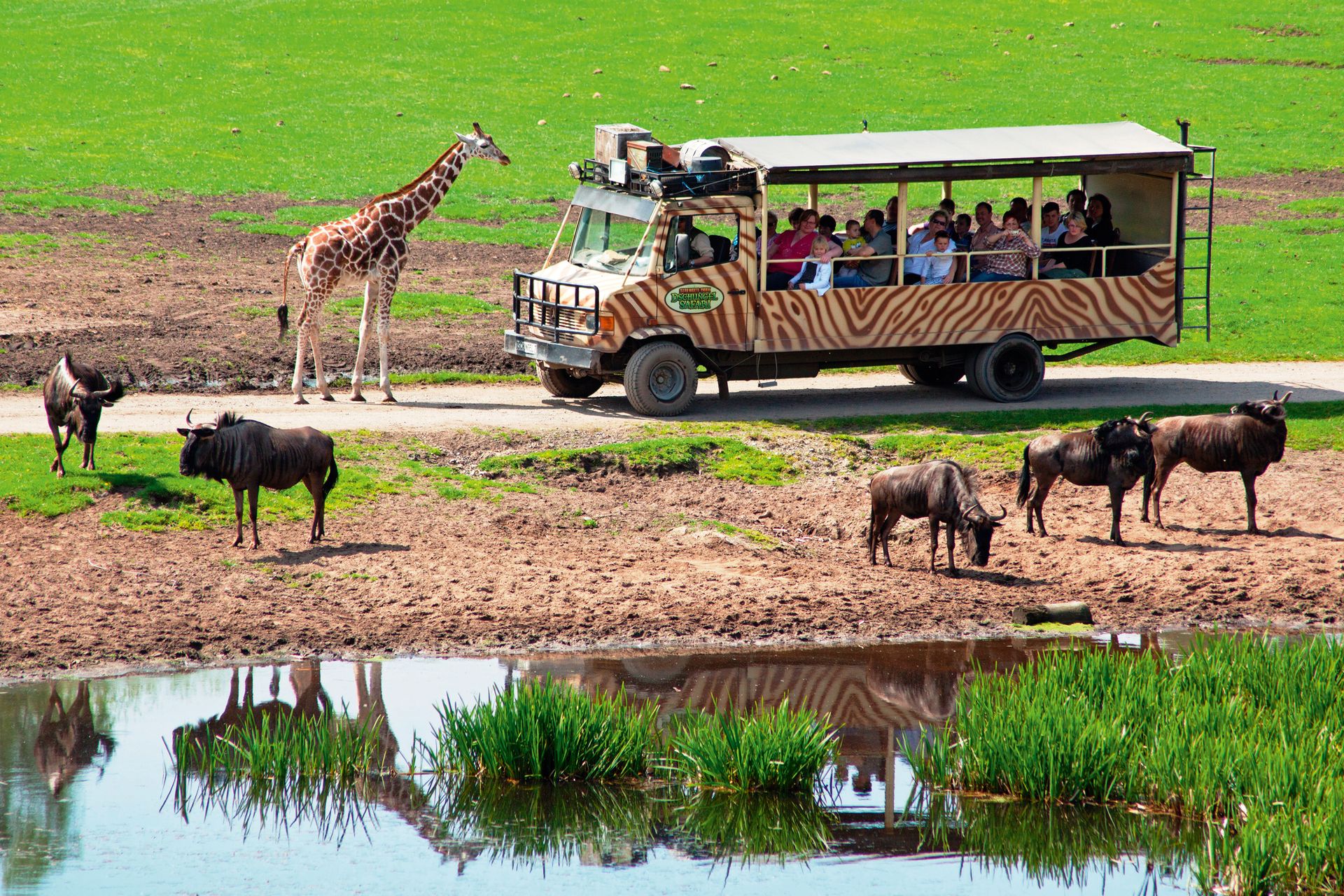 Safari durch den Serengeti Park in Niedersachsen